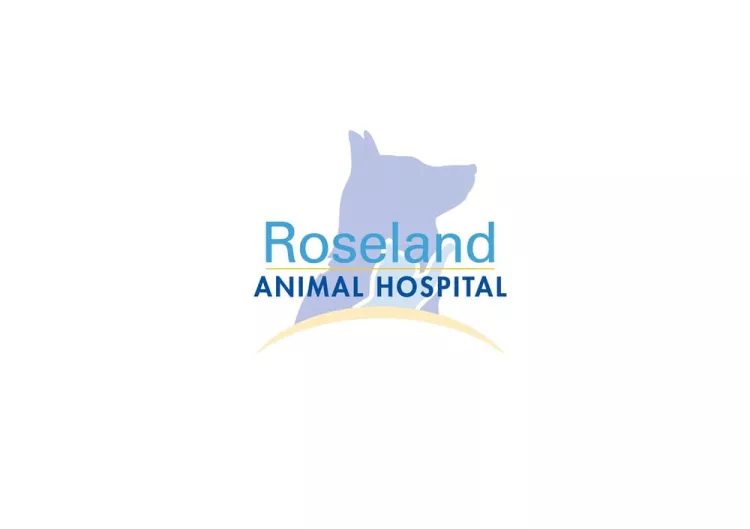 Roseland Animal Hospital, Florida, Sebastian